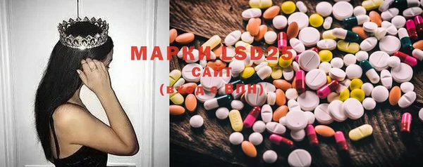 spice Снежногорск