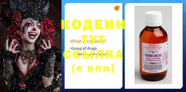 spice Снежногорск