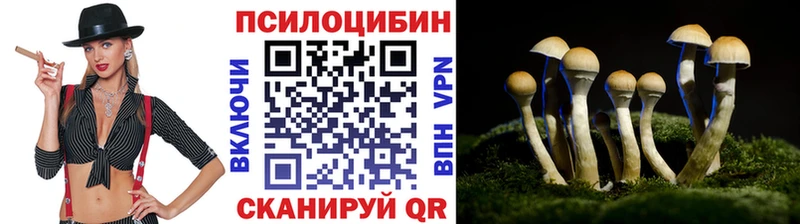 Галлюциногенные грибы прущие грибы  Купить  Среднеуральск 
